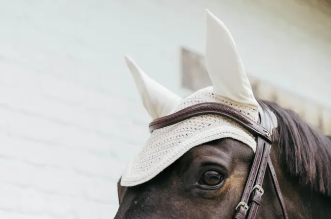 Bonnet Plaited Corde - Kentucky