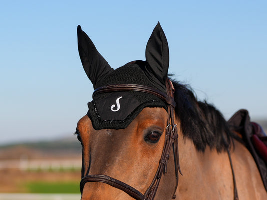 Bonnet Ludwig - Le Sabotier