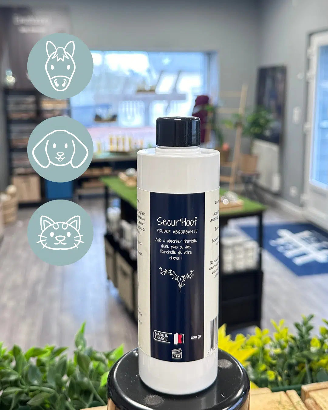 Secur'Hoof - Whakaora