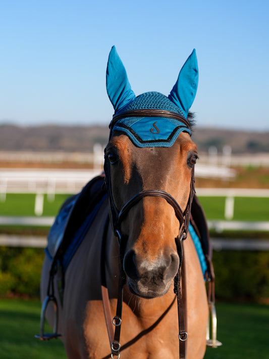 Bonnet Ludwig - Le Sabotier