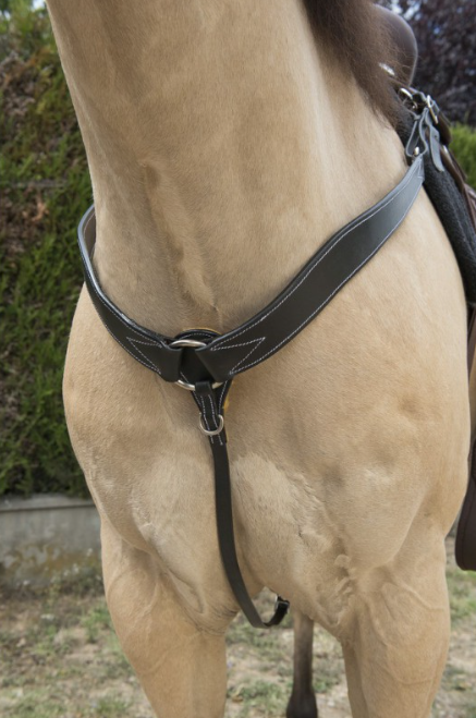 Collier De Chasse Western Randol's Surpiqué - Westride