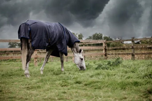 Couverture d'extérieur All Weather Hurricane - Kentucky