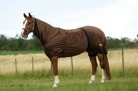 Chemise Anti Eczéma - Equithème