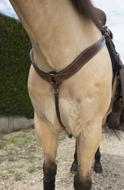 Collier De Chasse Western Randol's Surpiqué - Westride