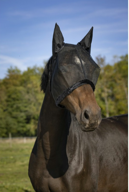 Masque Anti Mouche Mesh  - Equitheme