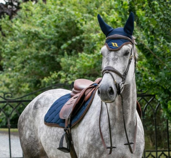 Bonnet Airflow - Back On Tack