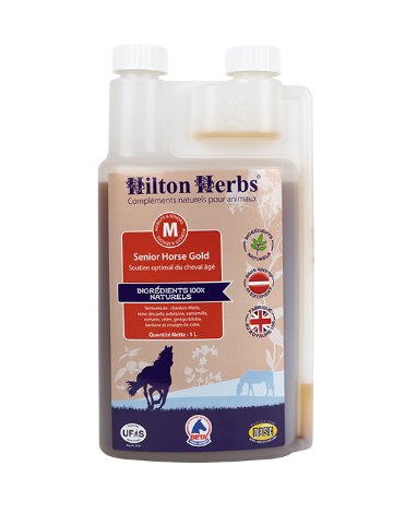 Senior Horse Gold - Hilton Herbs