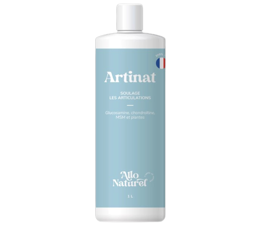 Artinat Soin Pour Les Articulations - Allo Naturel