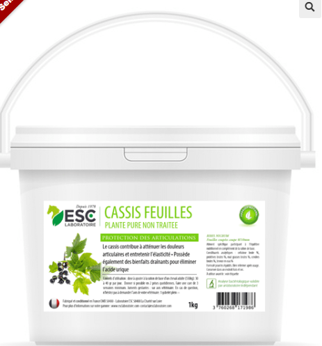 CASSIS – Articulations - ESC Laboratoire