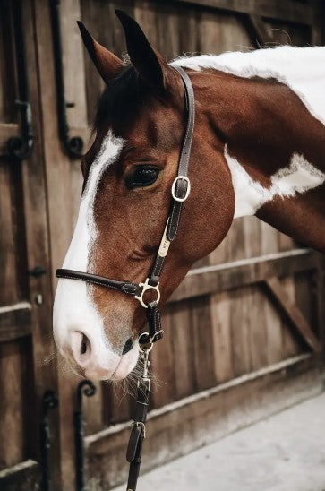 Licol de Pansage en cuir - Kentucky