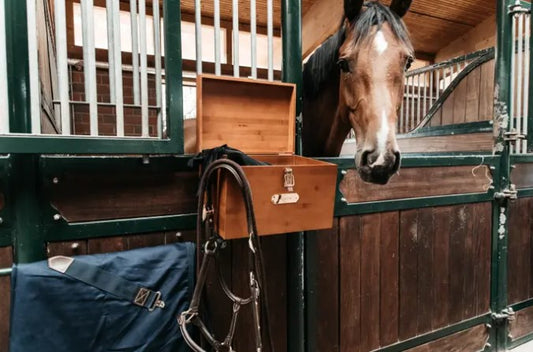 Boîte de pansage pour Box - Grooming Deluxe