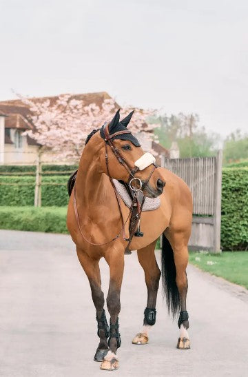 Fourreau de muserolle en mouton - Kentucky