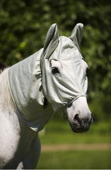 Bonnet Anti Eczéma - Equithème