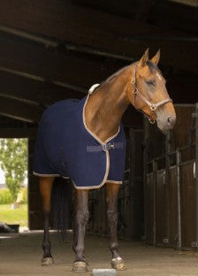 Chemise Polyfun - Equitheme