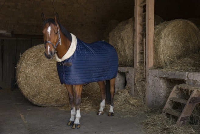 Couverture D'écurie Teddy Doublée Mouton Synthétiques - Equitheme