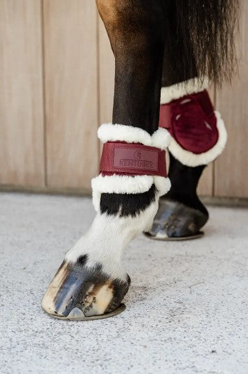 Protège-boulet "jeunes chevaux" Velvet mouton vegan - Kentucky