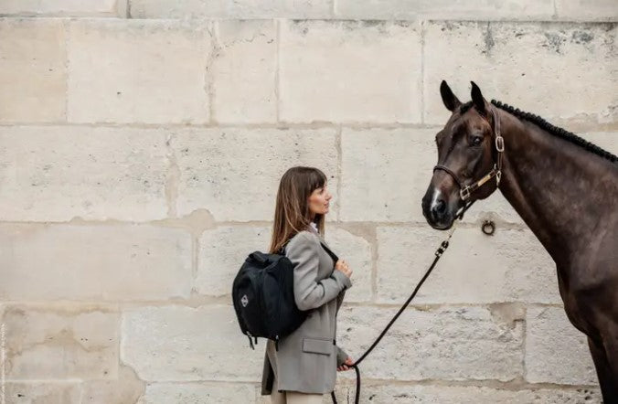 Sac pour casque Chestnut - Grooming Deluxe