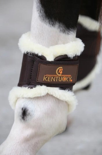 Guêtres fermées Cuir postérieurs courtes - Kentucky