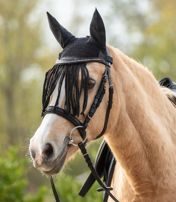 Bonnet D’oreilles À Franges - Waldhausen