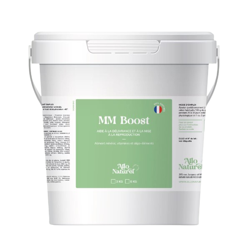 MM Boost - Allo Naturel