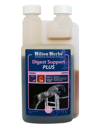 DIGEST SUPPORT PLUS Santé digestive | Formule compétition - Hilton Herbs