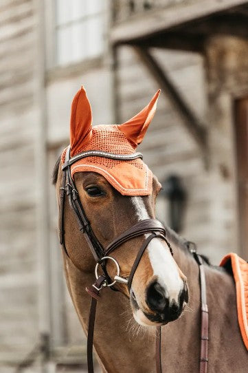 Bonnet Velvet - Kentucky