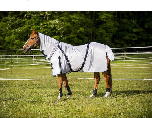 Chemise Filet - Equitheme