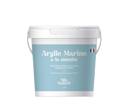 Argile Marine à la menthe - Allo Naturel