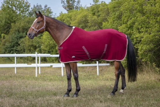 Chemise Polyfun - Equitheme