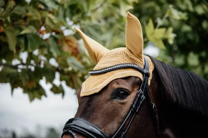 Bonnet Velvet - Kentucky