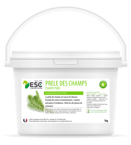 PRELE DES CHAMPS – Articulations et raideurs - ESC Laboratoire