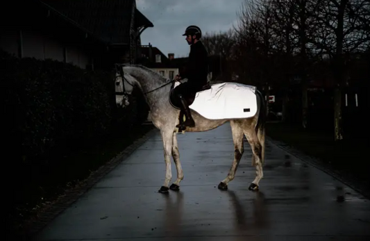 Couvre-Reins Réfléchissant  - Kentucky