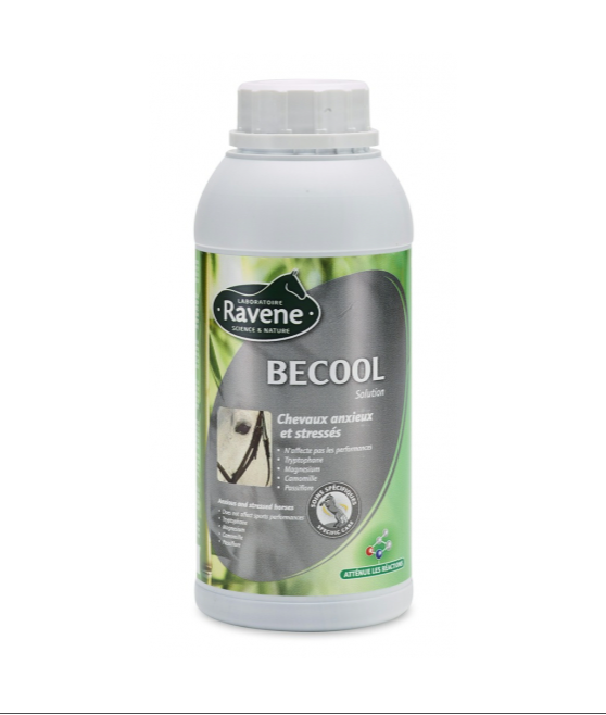 Becool Solution Anti-Stress - Ravene