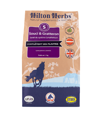 SOUCI & GRATTERON Système lymphatique, engorgement du cheval - Hilton Herbs