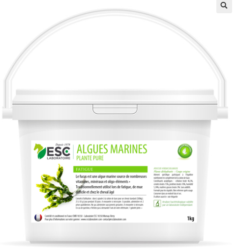 Algues Marines, Fatigue et baisse de forme - ESC Laboratoire