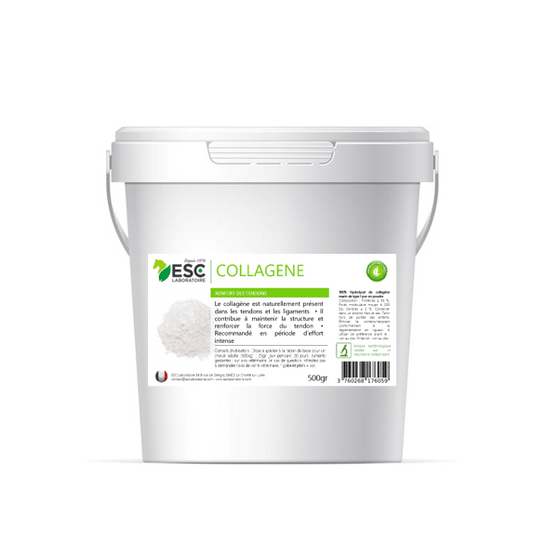 COLLAGENE MARIN PUR – Renforcement des tendons - ESC Laboratoire