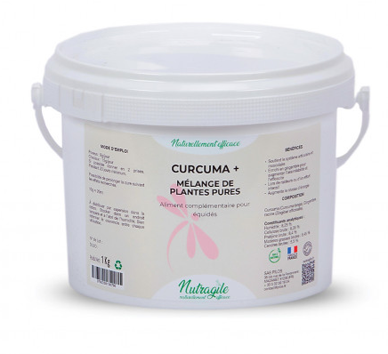 Curcuma + - Nutragile