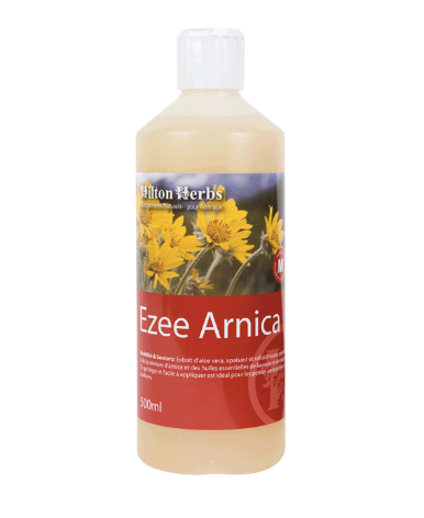 Ezee Arnica - Hilton Herbs