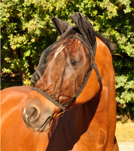 Bonnet Anti-Mouches BASIC Avec Protection Oreille - Waldhausen