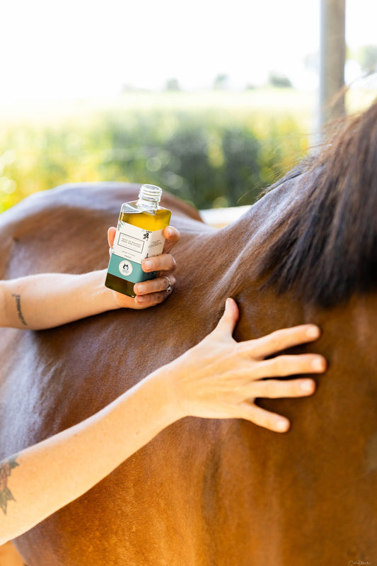 Huile Massage Après Mon Effort - Achille & Xantos