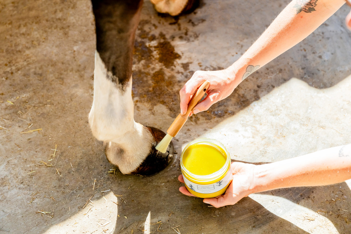 Onguent - Achille & Xantos