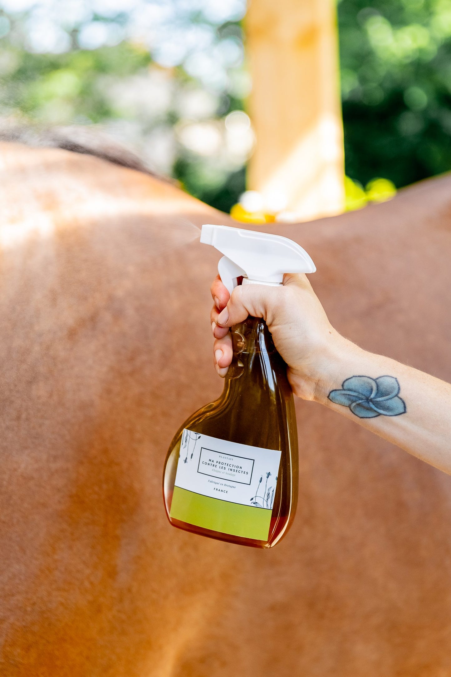 Ma Protection Contre Les Insectes - Achille & Xantos