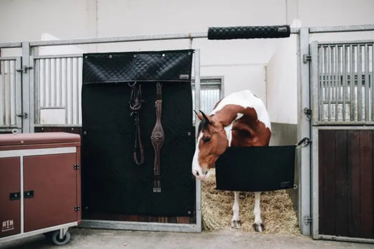 Tenture de Box -  Kentucky