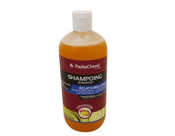 Shampooing - PaskaCheval