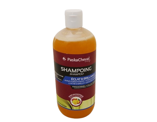 Shampooing - PaskaCheval