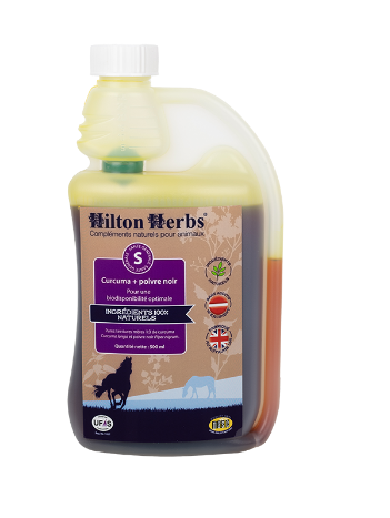 CURCUMA + POIVRE NOIR 100% teinture mère- Hilton Herbs