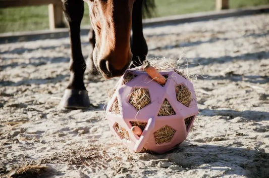 Boule/balle à foin - Kentucky