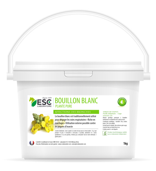 BOUILLON BLANC – Irritation et encombrement des bronches  - ESC Laboratoire