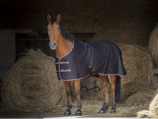 Chemise De box Brillante - Equitheme