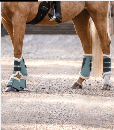 Guêtres De Dressage Confort - Waldhausen